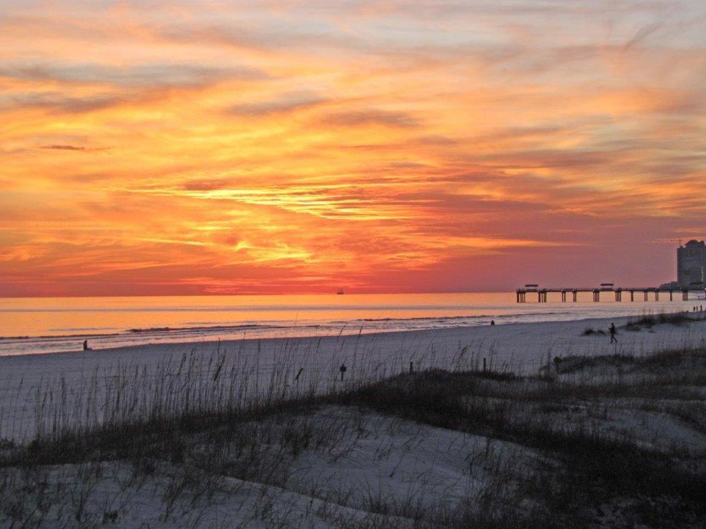 Beachview 216 By Albvr - Studio In The Heart Of It All, Just Steps To The Beach And Hangout! Gulf Shores Zewnętrze zdjęcie